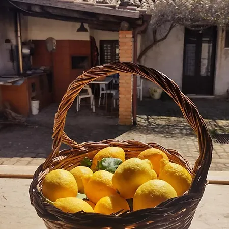Linati's * Pollina