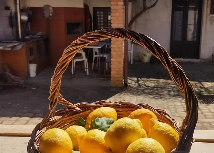 Linati's * Pollina